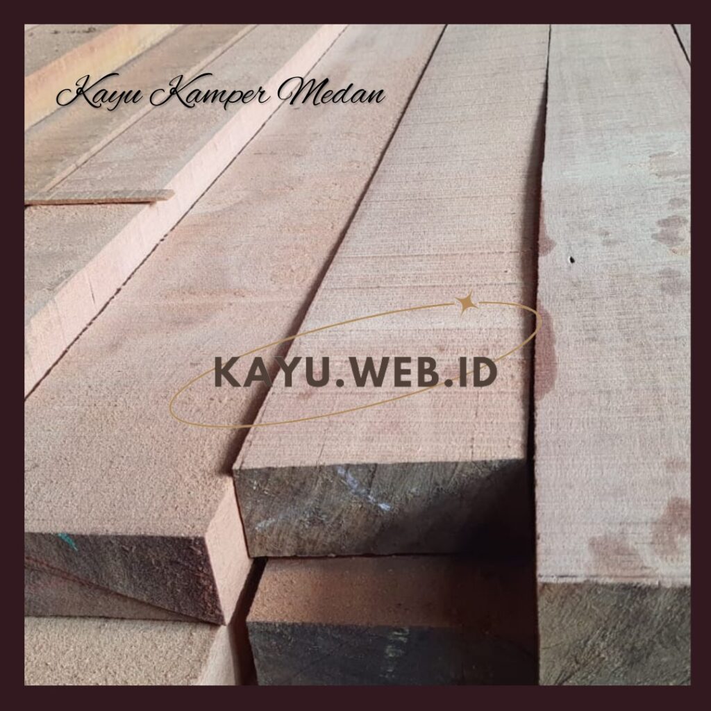 Jual kayu kamper medan, jual kayu kruing, harga kayu kruing