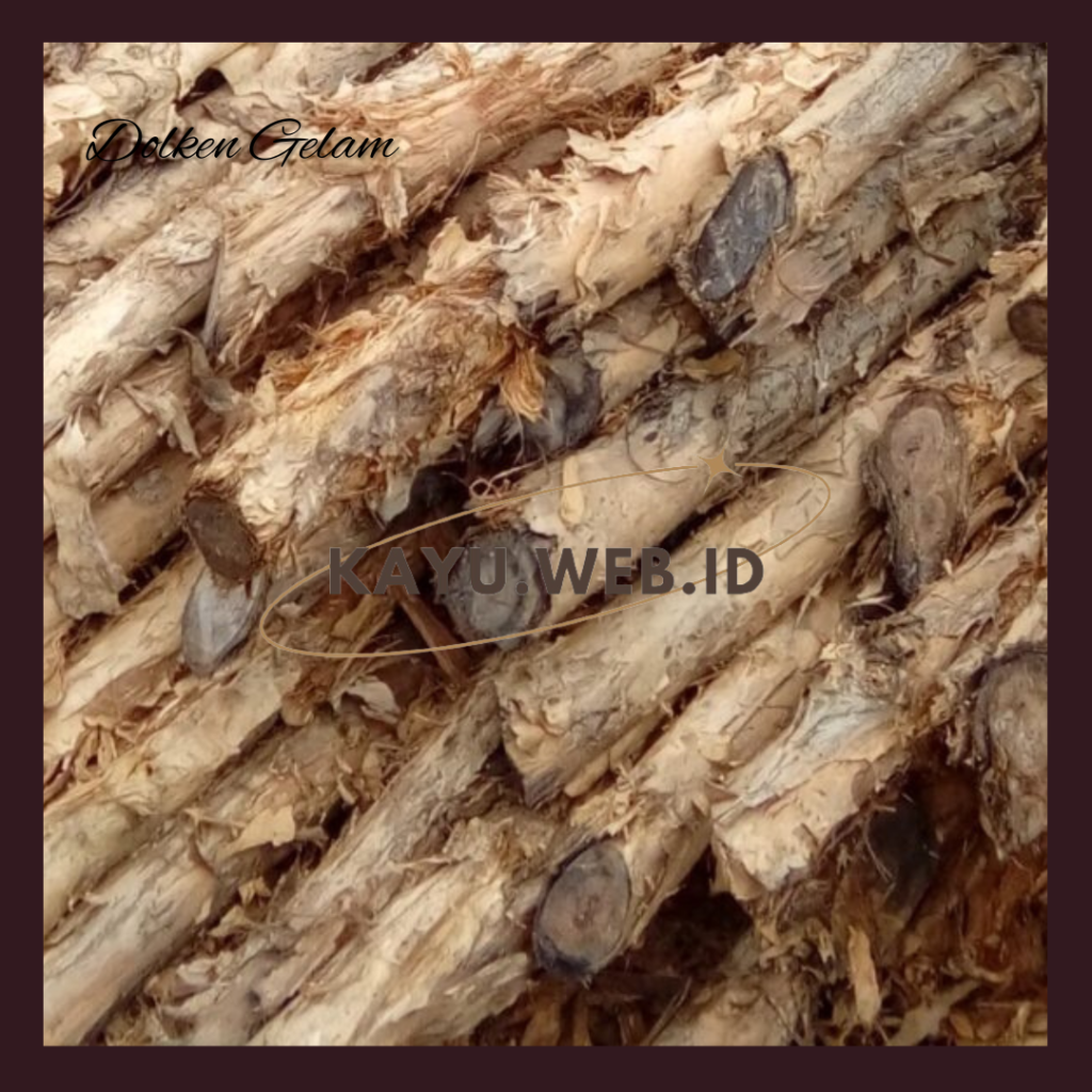 Supplier Jual Dolken Gelam Berkualitas, harga kayu dolken, jual dolken gelam, jual kayu dolken gelam