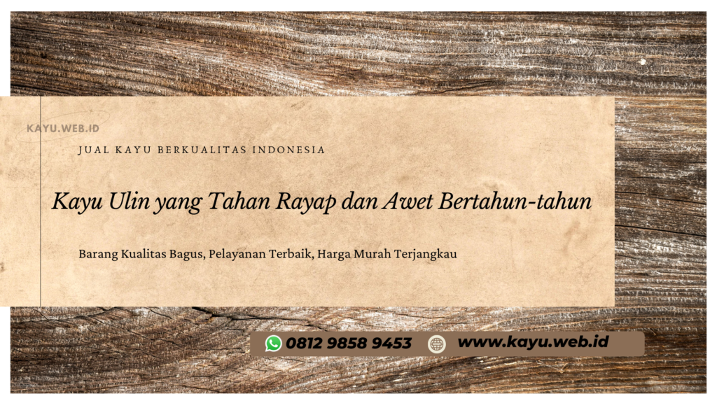 Kayu Ulin yang Tahan Rayap dan Awet Bertahun-tahun