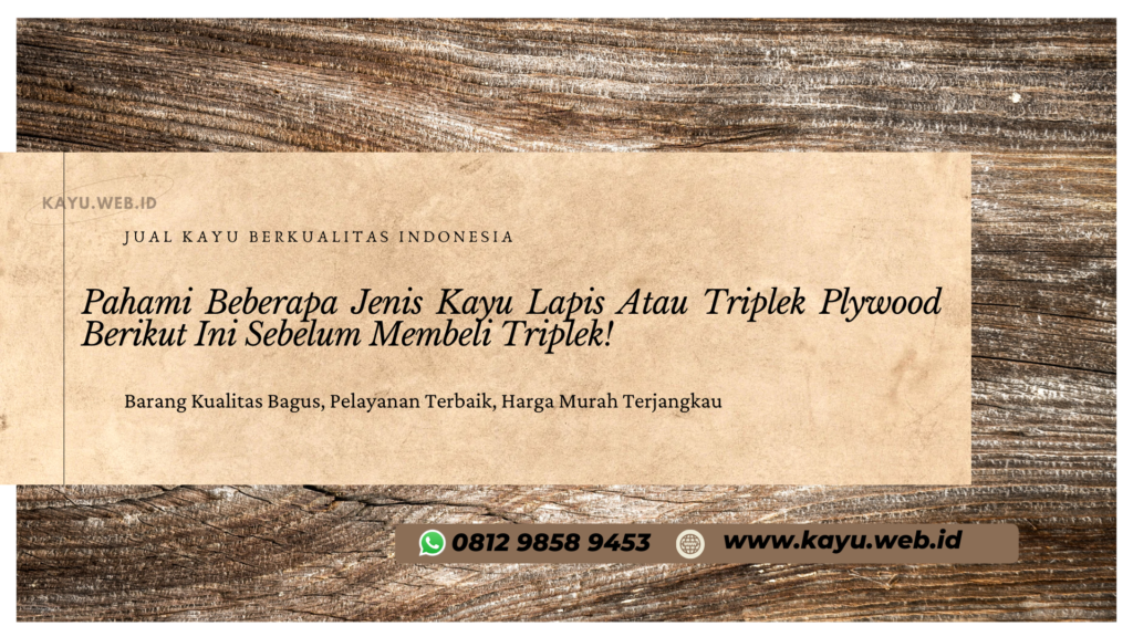 Triplek Plywood