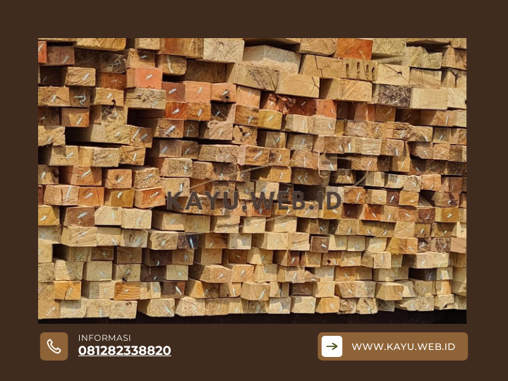 Jual Kayu Racuk