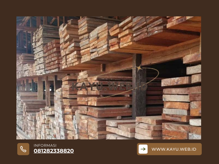 Kayu Meranti Ciri-Ciri, Jenis, dan Keunggulannya untuk Konstruksi
