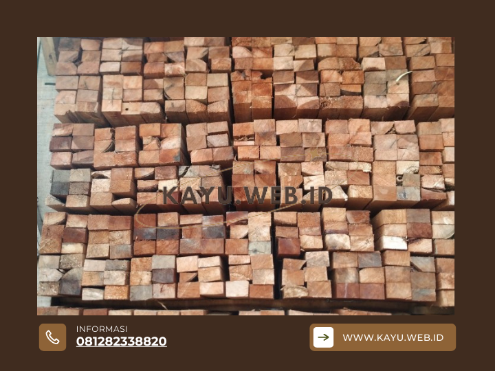 Kenapa Kayu Racuk Digemari Ini Kelebihan dan Kelemahannya