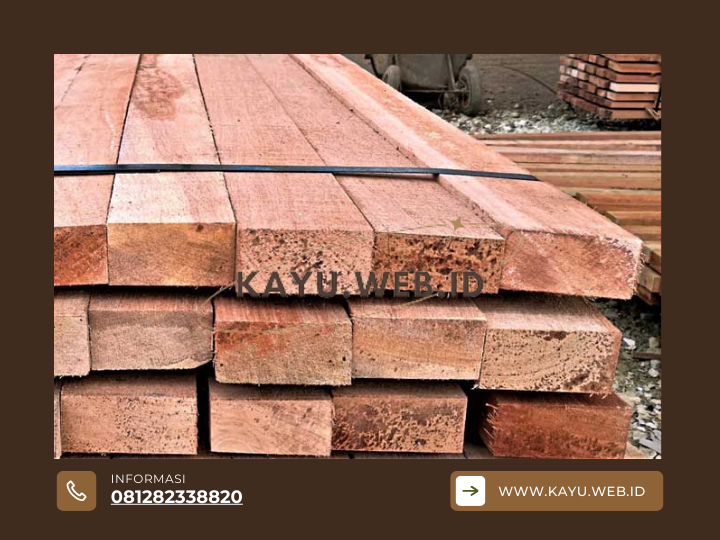 Mengenal Kayu Kruing Jenis, Kelebihan, dan Perbandingannya dengan Kayu Lain